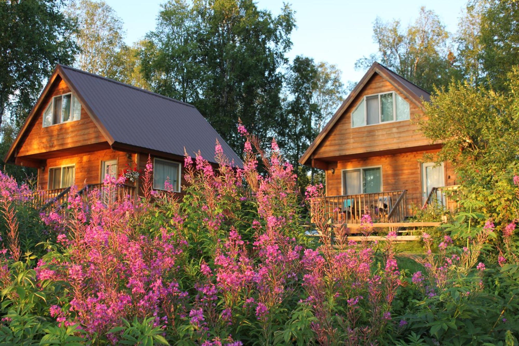 Susitna River Lodging, Riverside Cabins Talkeetna Eksteriør bilde